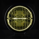 Ambassador Driving Light 9" LIMITED EDITION