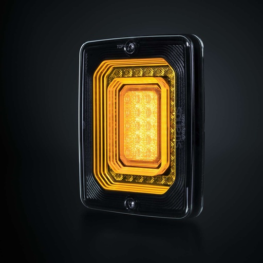 [5800657] FOR9T ILLUSION Indicator Light